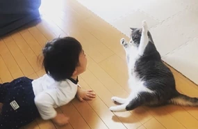 フロアコーティングで家事ラク！子育て・ペット家庭におすすめの床対策とは？