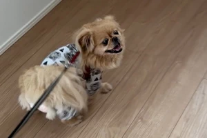 施工前後の違いにびっくり！ 大満足です。