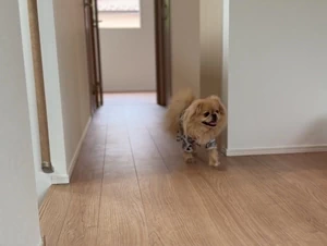 施工後